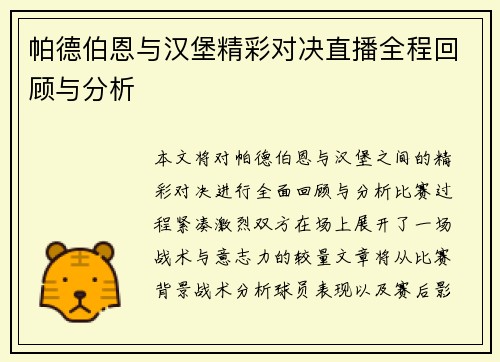 帕德伯恩与汉堡精彩对决直播全程回顾与分析