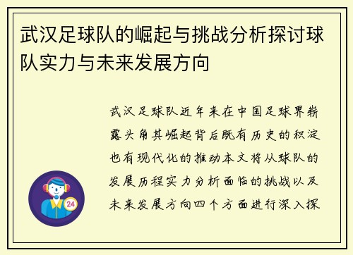 武汉足球队的崛起与挑战分析探讨球队实力与未来发展方向