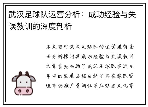 武汉足球队运营分析：成功经验与失误教训的深度剖析
